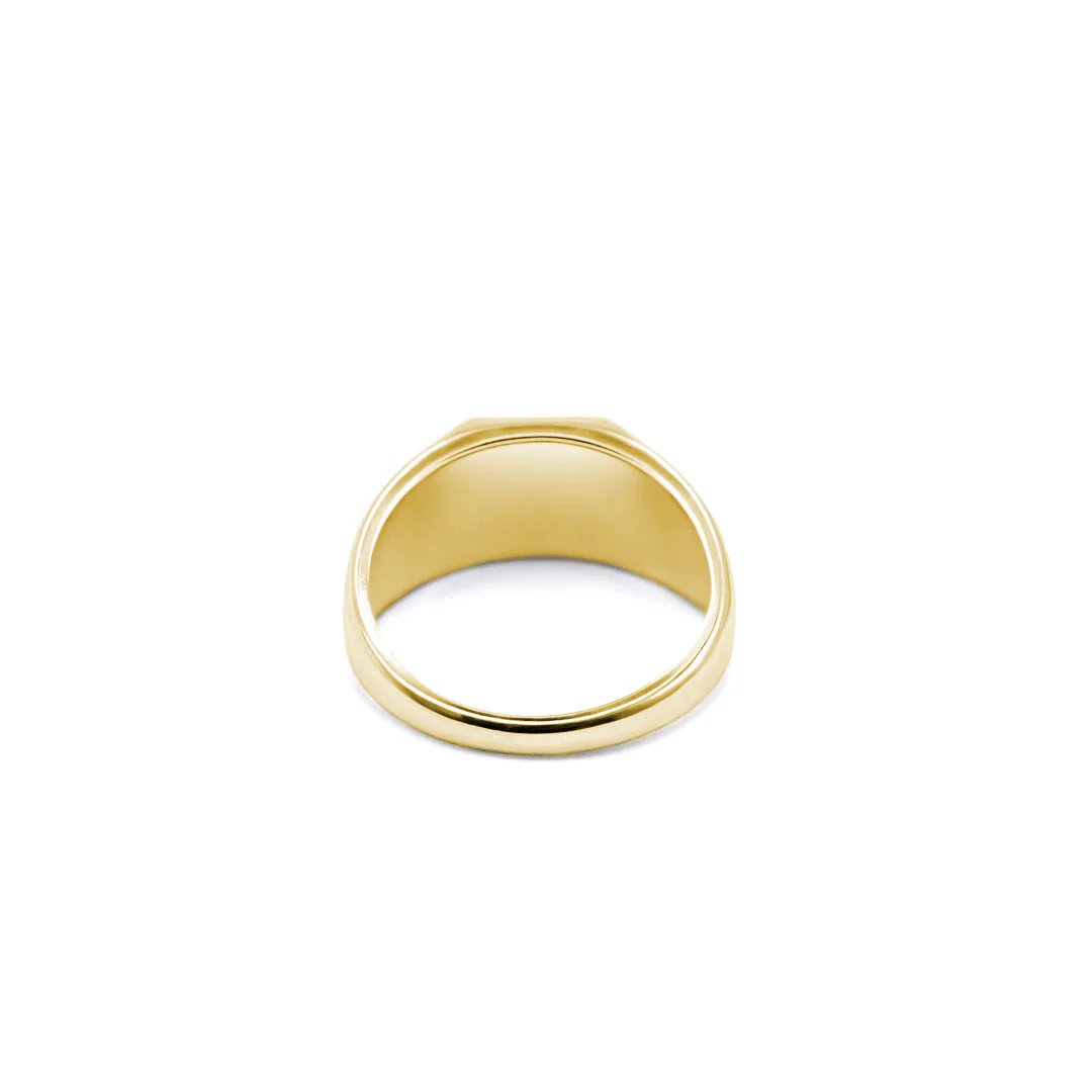 Gold Guardian Ring - Image 6