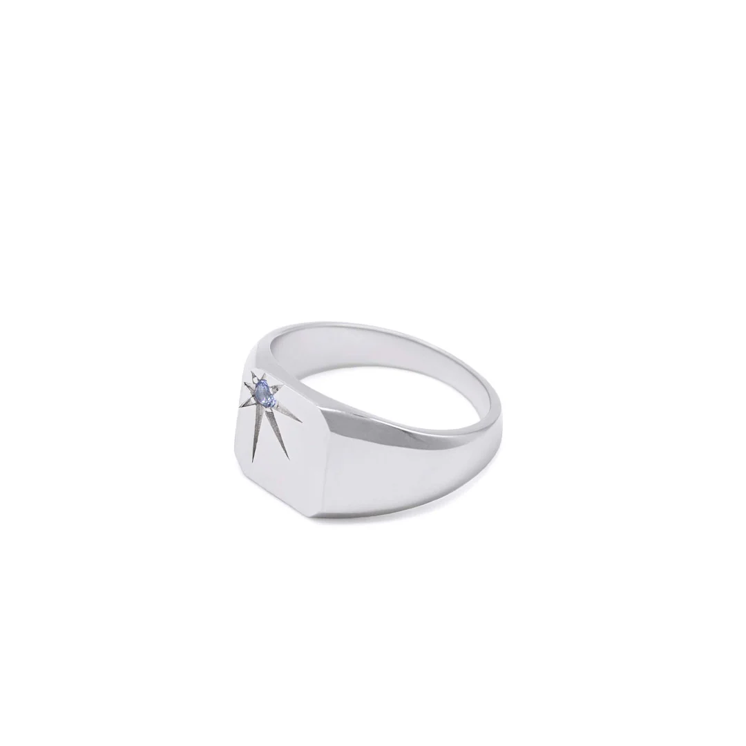 Silver Guardian Ring - Image 2