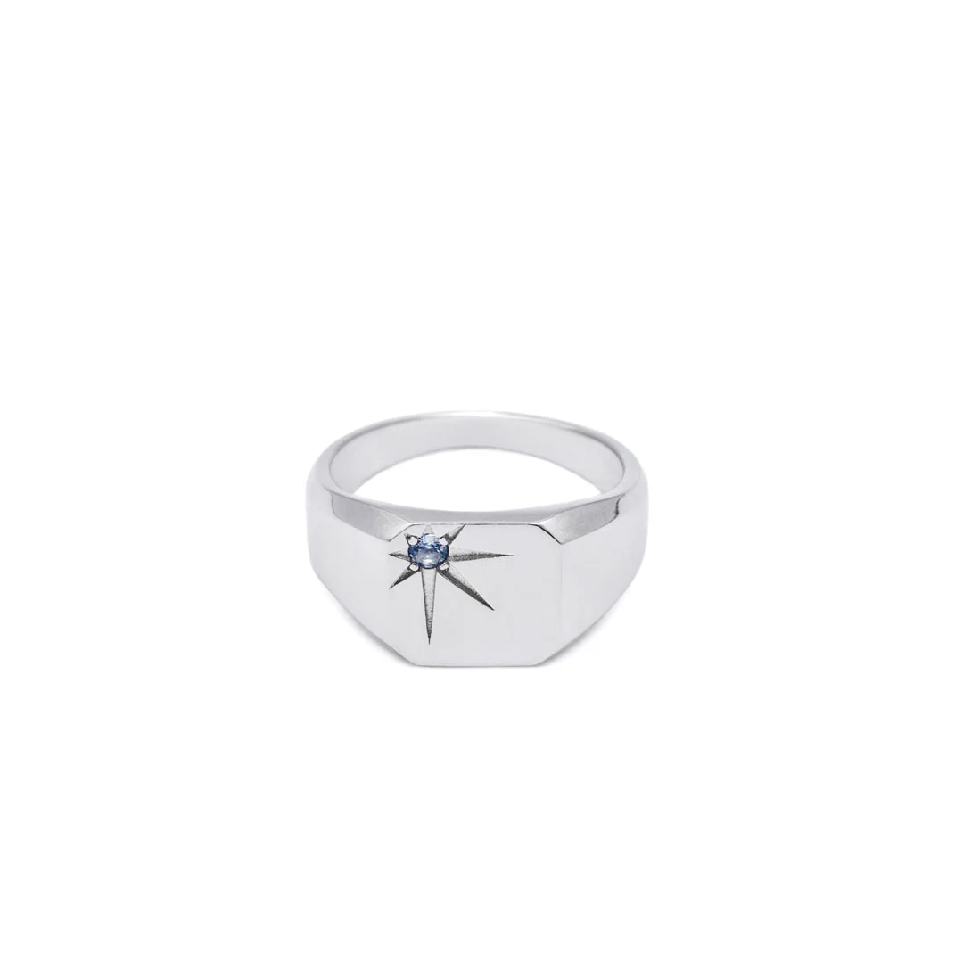 Silver Guardian Ring - Image 3